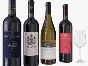 wine bottle set 4 Modelo 3D