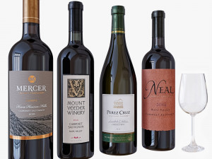 wine bottle set 5 Modelo 3D