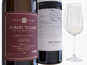 wine bottle set 6 3D Модель