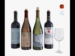 wine bottle set 10 3D 모델
