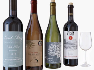 conjunto de garrafa de vinho 10 Modelo 3D