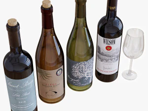 conjunto de garrafa de vinho 10 Modelo 3D