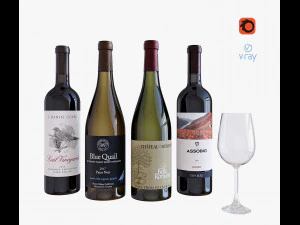 juego de botellas de vino 11 Modelo 3D