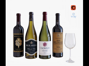 wine bottle set 12 3D 모델