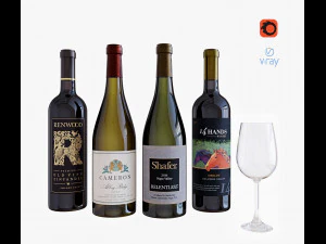 set botol anggur 16 Model 3D