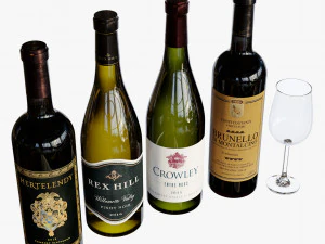 Wine bottle set 18 3D Model