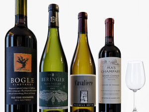 Wine bottle set 19 Modelo 3D