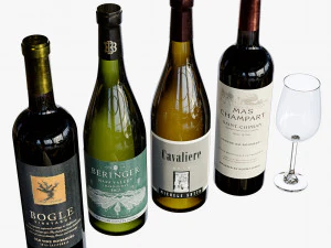Wine bottle set 19 3D Model