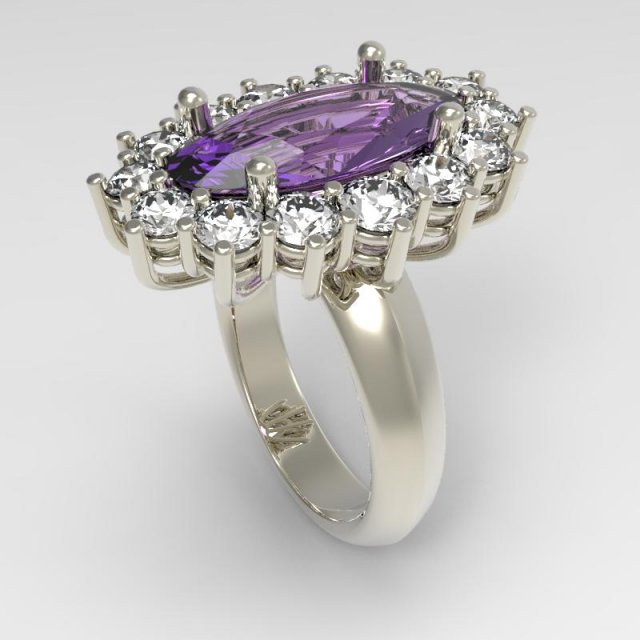 ring darling 3D Print Model .c4d .max .obj .3ds .fbx .stl .blend 