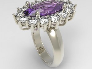 ring darling 3D Print Model