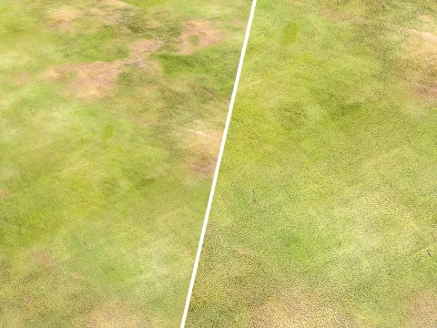 Seamless Grassland Ground PBR Material - 15K - 8K - 2K CG Textures