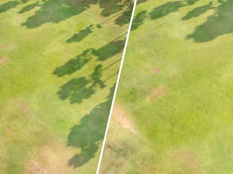 Seamless Grassland Ground PBR Material - 15K - 8K - 2K CG Textures