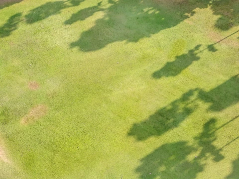 Seamless Grassland Ground PBR Material - 15K - 8K - 2K CG Textures