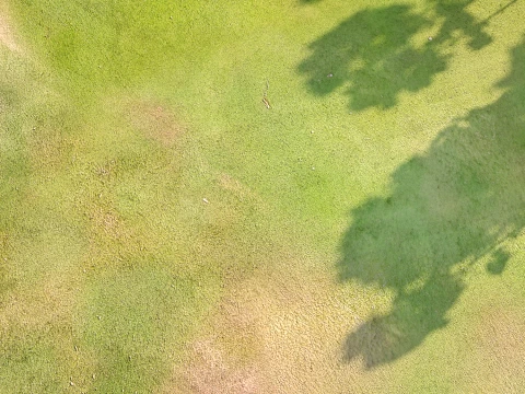 Seamless Grassland Ground PBR Material - 15K - 8K - 2K CG Textures