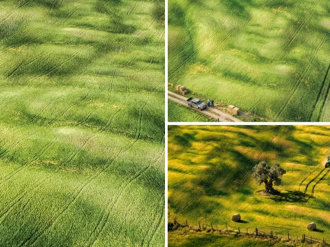 Seamless Field Area PBR Material - 16K - 8K - 4K - 2K CG Textures