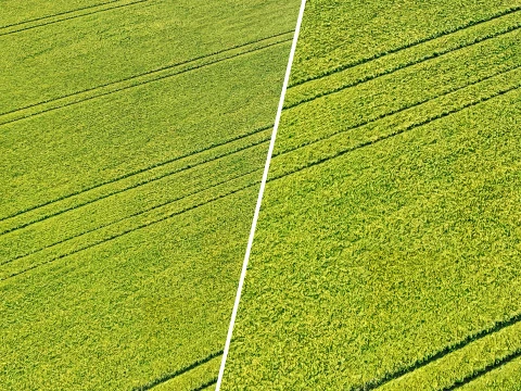 Seamless Green field with ruts PBR Material - 16K CG Textures