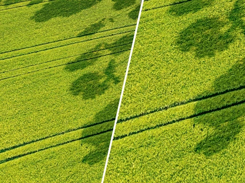 Seamless Green field with ruts PBR Material - 16K CG Textures