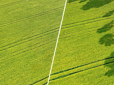Seamless Green field with ruts PBR Material - 16K CG Textures
