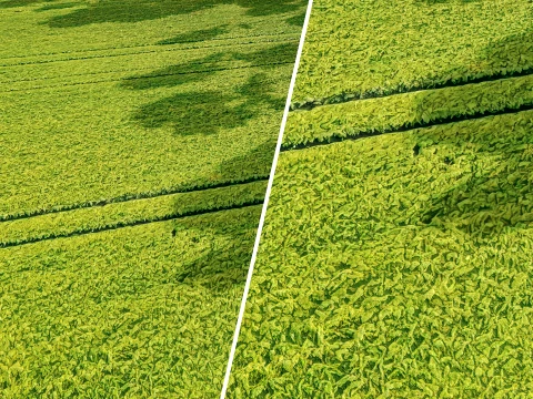 Seamless Green field with ruts PBR Material - 16K CG Textures