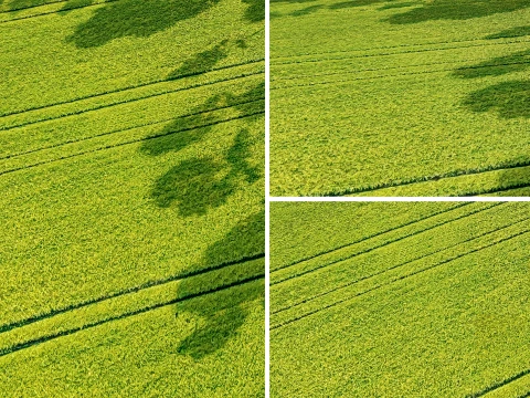 Seamless Green field with ruts PBR Material - 16K Tekstur CG