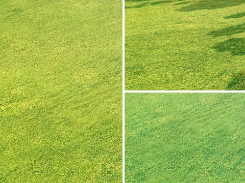 Seamless Green Field Area PBR Material - 16K CG Texturen
