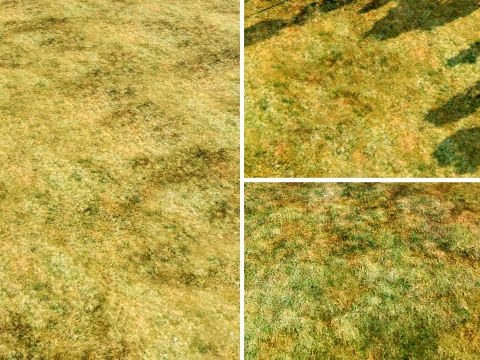 Seamless Wild Grassland PBR Material 16K CG Textures