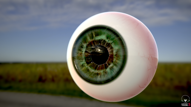 human eye photorealistic game ready low-poly 3D Model .c4d .max .obj .3ds .fbx .stl .blend