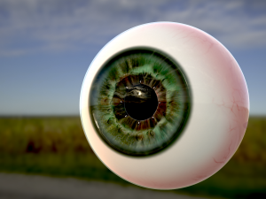 human eye photorealistic game ready low-poly 3D Model