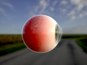 human eye photorealistic game ready low-poly 3D Model