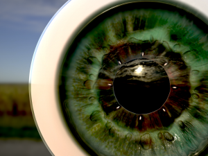 human eye photorealistic game ready low-poly 3D Model