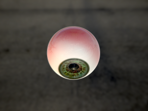 human eye photorealistic game ready low-poly 3D Model