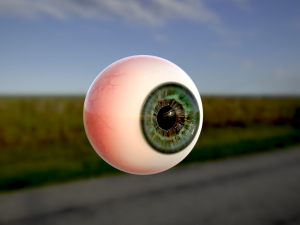 human eye photorealistic game ready low-poly 3D Model