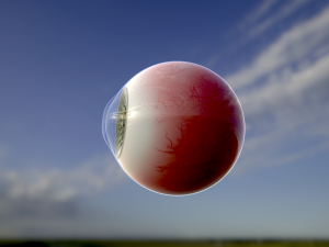 human eye photorealistic game ready low-poly 3D Model