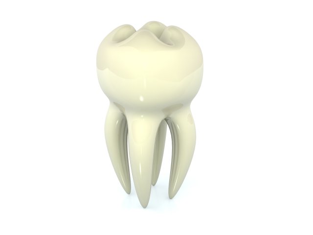 tooth Modelo 3D .c4d .max .obj .3ds .fbx .stl .blend 
