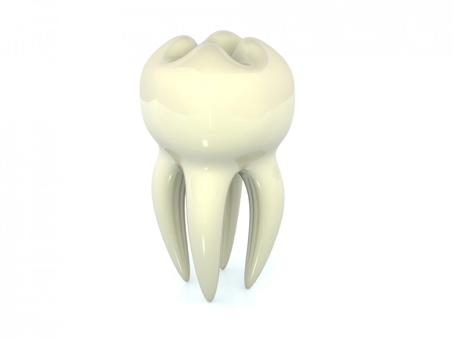 tooth 3D Model .c4d .max .obj .3ds .fbx .stl .blend 