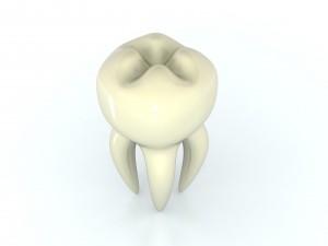 tooth Modelo 3D