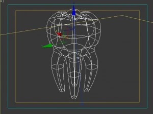 tooth 3D Model