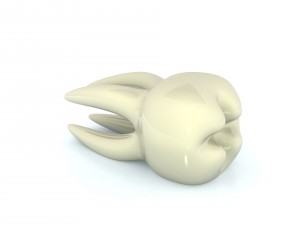 tooth Modelo 3D