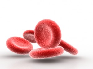 blood cell 3D Model
