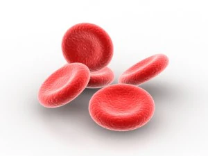 blood cell 3D Model
