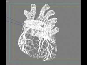 human heart Model 3D