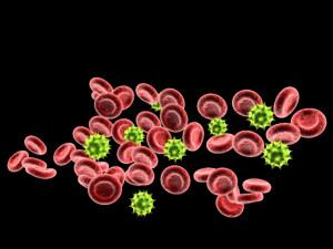 blood cells Model 3D