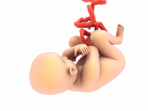 baby 3D Model