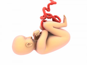 baby Modèle 3D