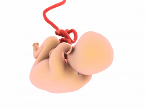 baby Modèle 3D