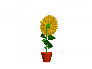 Sunflower flower plant isolated 3D Модель