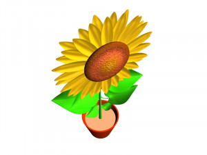 Sunflower flower plant isolated 3D Модель