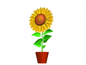 Sunflower flower plant isolated 3D Модель