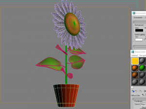 Sunflower flower plant isolated 3D Модель