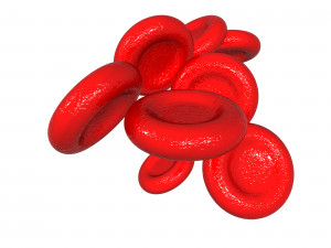 Blood cells 3D Модель